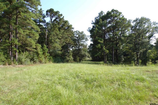 0000 CR 46, Tyler, TX 75704