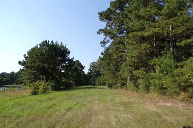0000 CR 46, Tyler, TX 75704