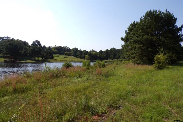 0000 CR 46, Tyler, TX 75704