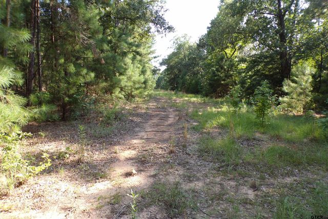 0000 CR 46, Tyler, TX 75704