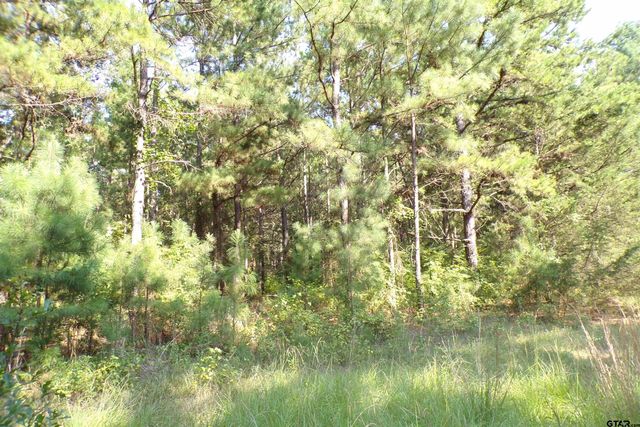 0000 CR 46, Tyler, TX 75704