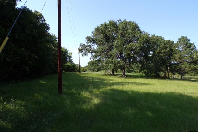 0000 CR 46, Tyler, TX 75704