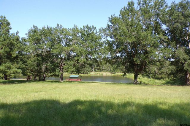 0000 CR 46, Tyler, TX 75704