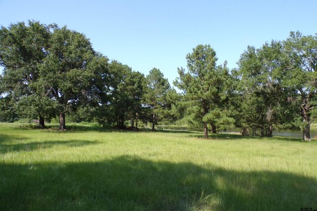 0000 CR 46, Tyler, TX 75704