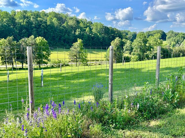 94 Tarter Cemetery Road, Nancy, KY 42544