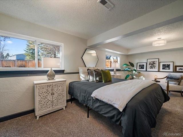 17607 Junegrass Pl, Parker, CO 80134