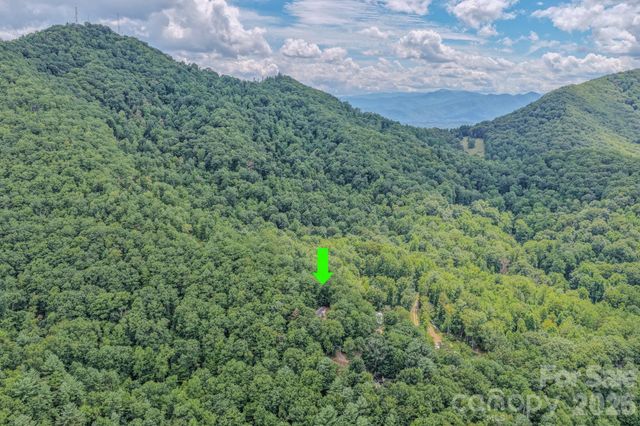 23 Tom Worley Road, Leicester, NC 28748