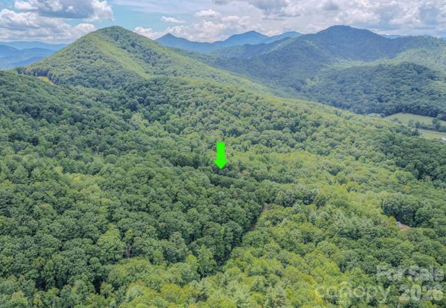 23 Tom Worley Road, Leicester, NC 28748