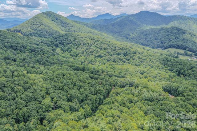 23 Tom Worley Road, Leicester, NC 28748