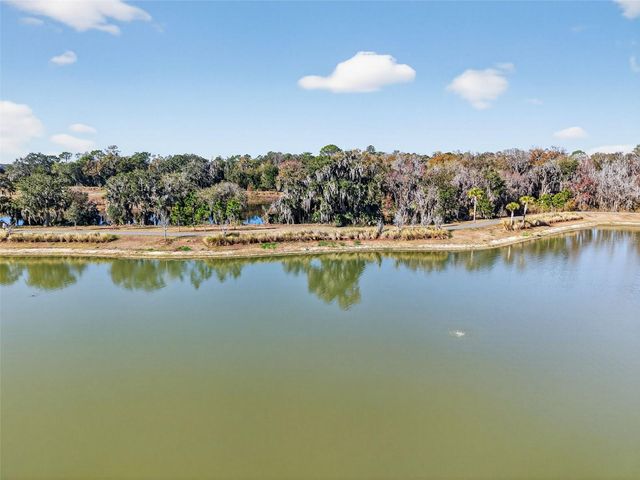 4138 BURGESS DRIVE, The Villages, FL 32163