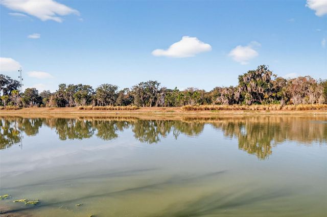 4138 BURGESS DRIVE, The Villages, FL 32163