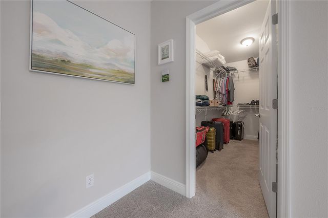 9102 CAROLINA WREN DRIVE, Tampa, FL 33626