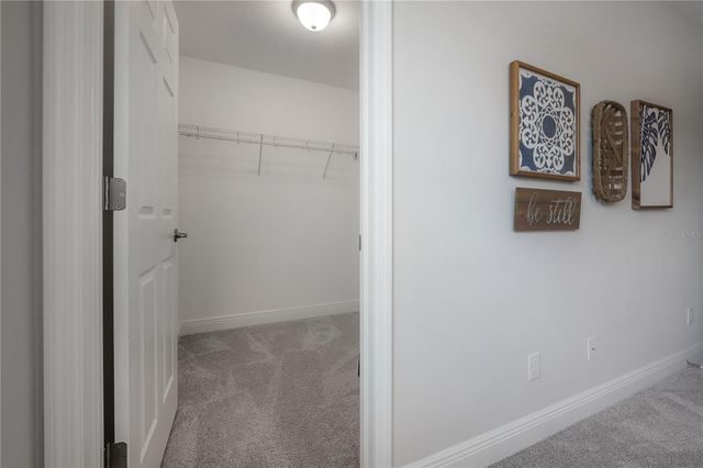 9102 CAROLINA WREN DRIVE, Tampa, FL 33626