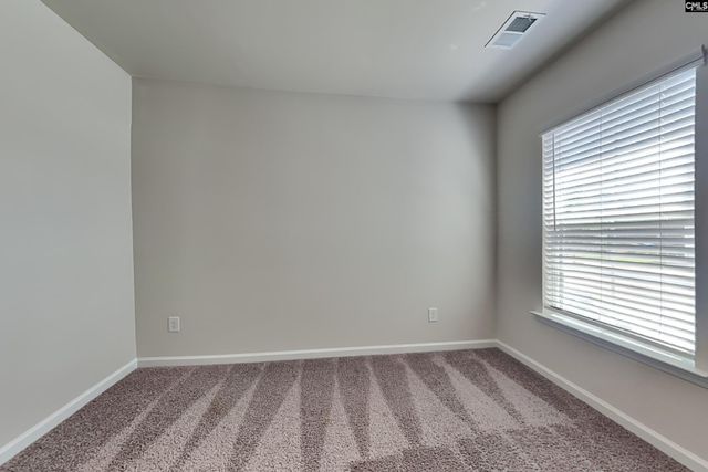 51 Blue Fescue Way, Columbia, SC 29209