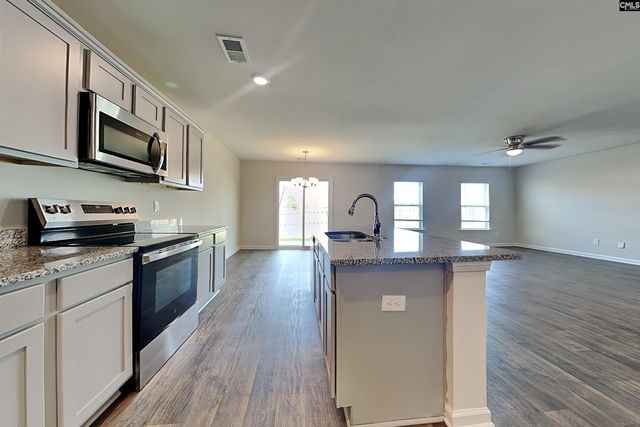 51 Blue Fescue Way, Columbia, SC 29209