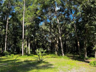 TBD LAKE VIEW DRIVE W, Ocala, FL 34482