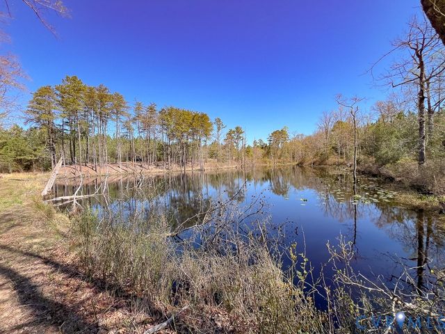 18262 Seals Rd, Bowling Green, VA 22427