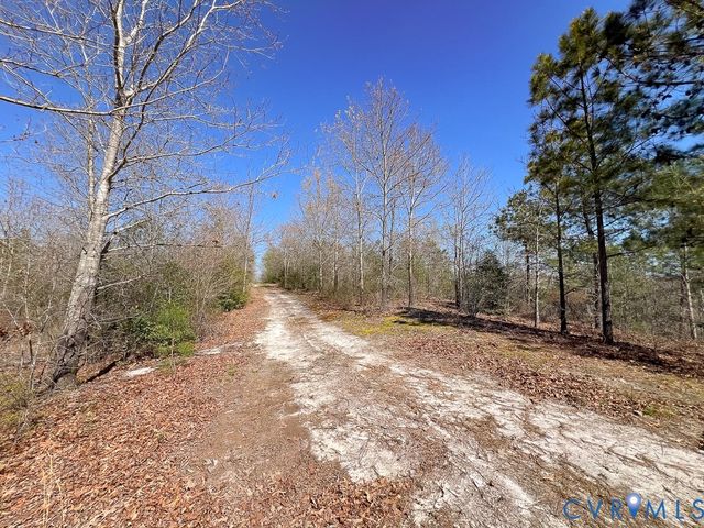 18262 Seals Rd, Bowling Green, VA 22427