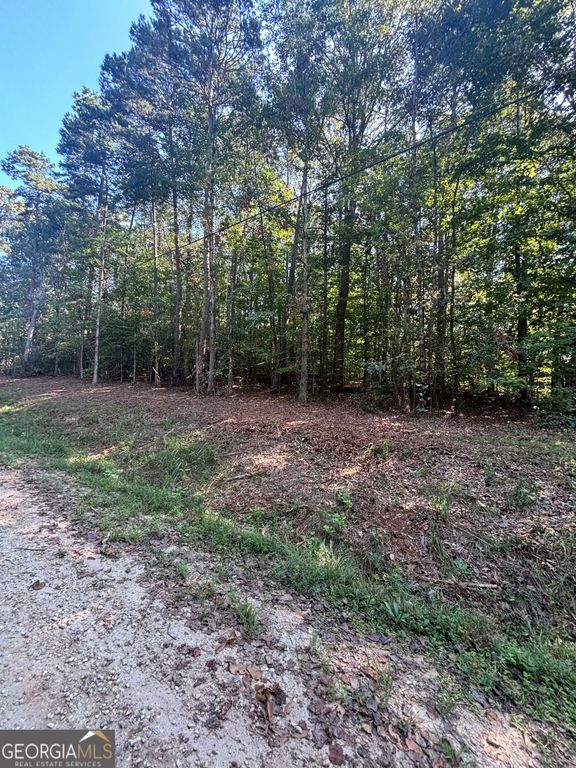 0 Oakwood Road, Lavonia, GA 30553 — photo 3
