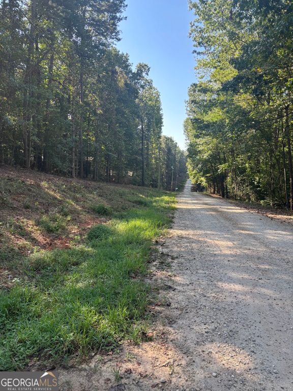 0 Oakwood Road, Lavonia, GA 30553 — photo 4