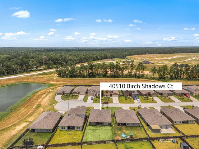 40510 Birch Shadow Court, Magnolia, TX 77354