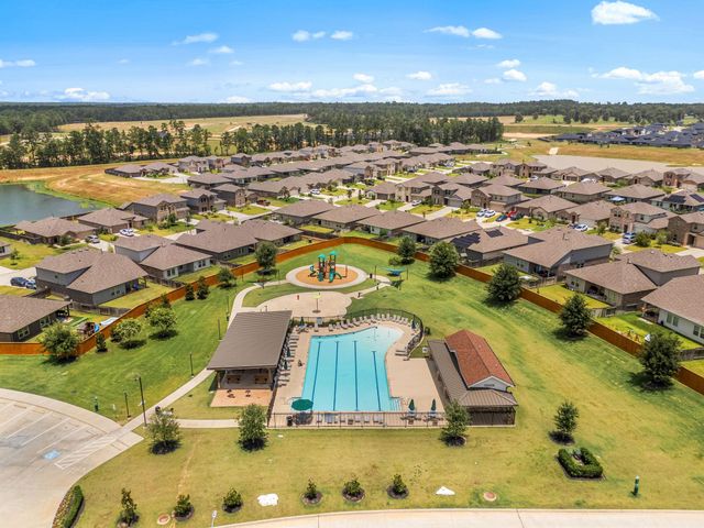 40510 Birch Shadow Court, Magnolia, TX 77354