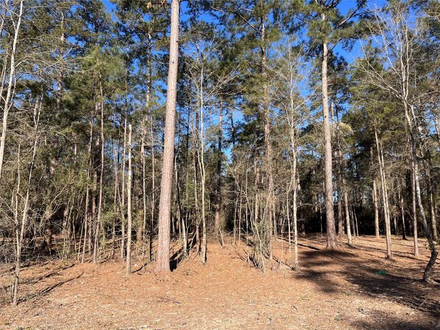 15194 Forest Grove Drive, Willis, TX 77378