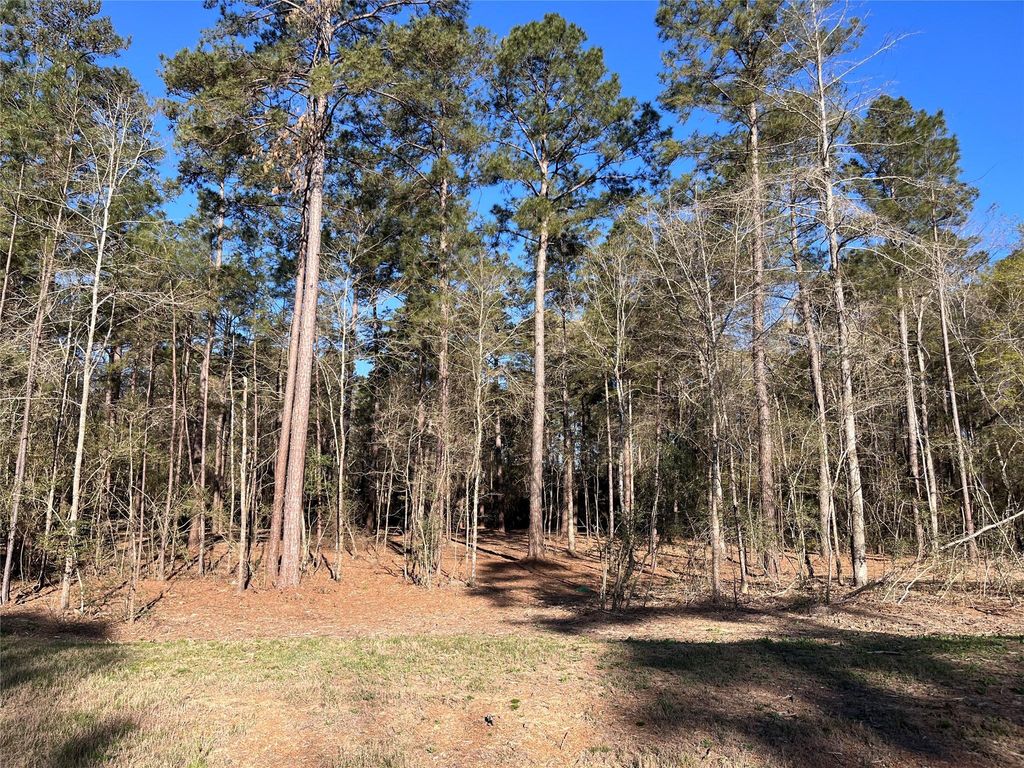 15194 Forest Grove Drive, Willis, TX 77378