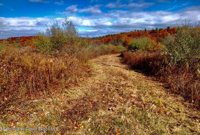 00 Manor Rock Road, Craryville, NY 12521