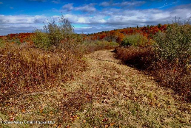 00 Manor Rock Road, Craryville, NY 12521