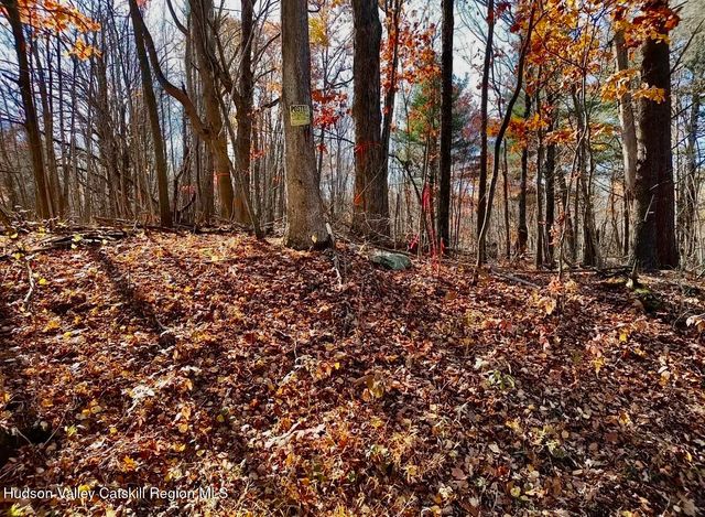 00 Manor Rock Road, Craryville, NY 12521