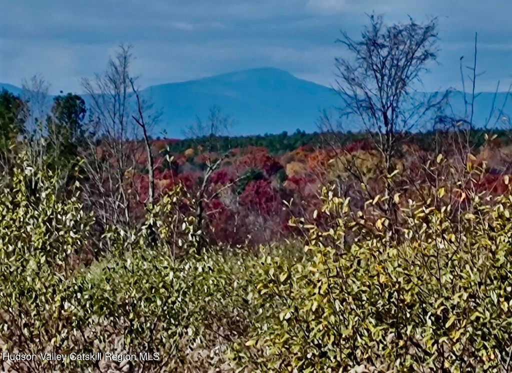 00 Manor Rock Road, Craryville, NY 12521