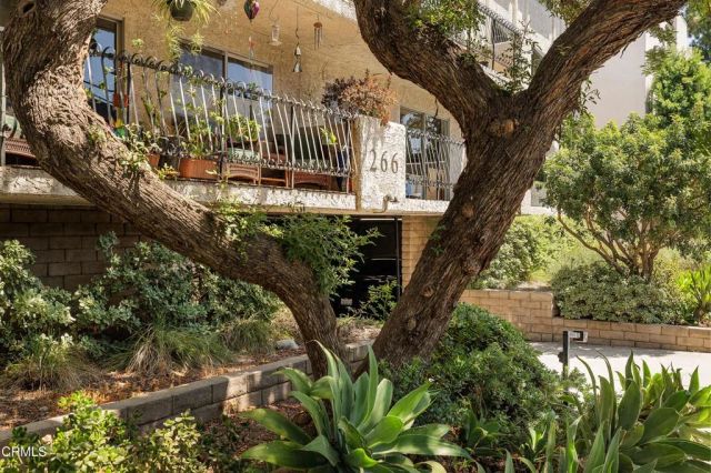 266 S Madison Avenue 308, Pasadena, CA 91101