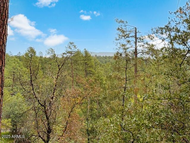 4496 S INDIAN CREEK Road, Prescott, AZ 86303
