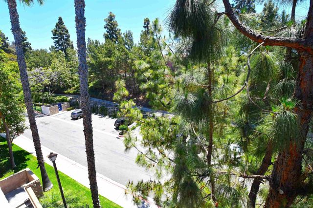 7677 Mission Gorge Rd 141, San Diego, CA 92120