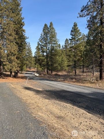 37855 Skyview Court N, Creston, WA 99147