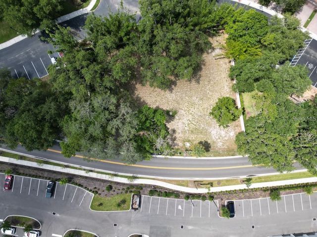 1320 S GOODMAN ROAD, Davenport, FL 33896
