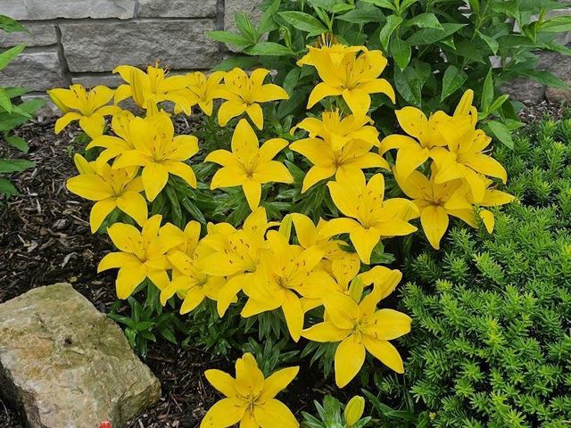 440 Grandview Drive, Waunakee, WI 53597