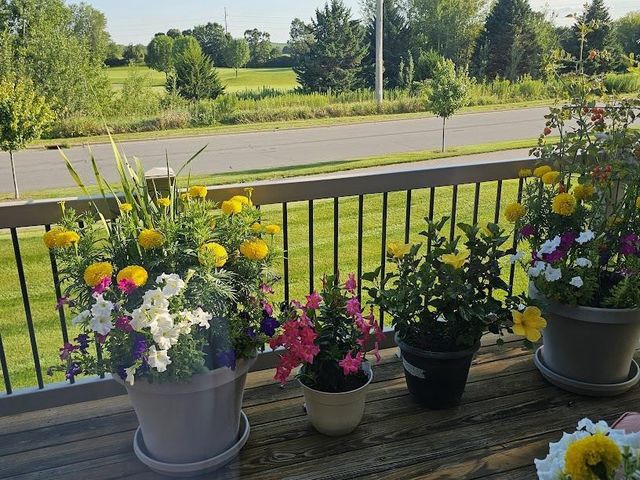 440 Grandview Drive, Waunakee, WI 53597