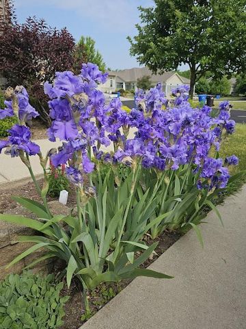 440 Grandview Drive, Waunakee, WI 53597