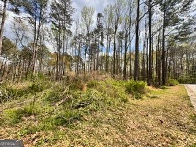 4120 Falcon Drive SW, Austell, GA 30106