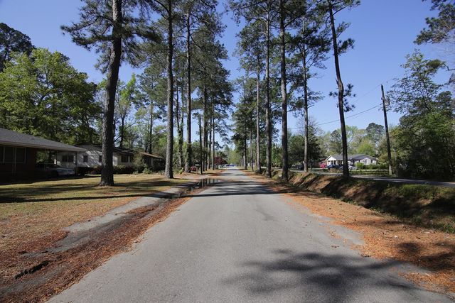 1172 Wisteria, Orangeburg, SC 29115