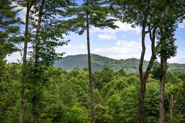 179 Cessna Loop, Blue Ridge, GA 30513