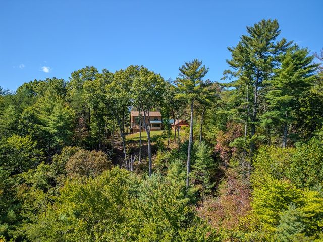 179 Cessna Loop, Blue Ridge, GA 30513