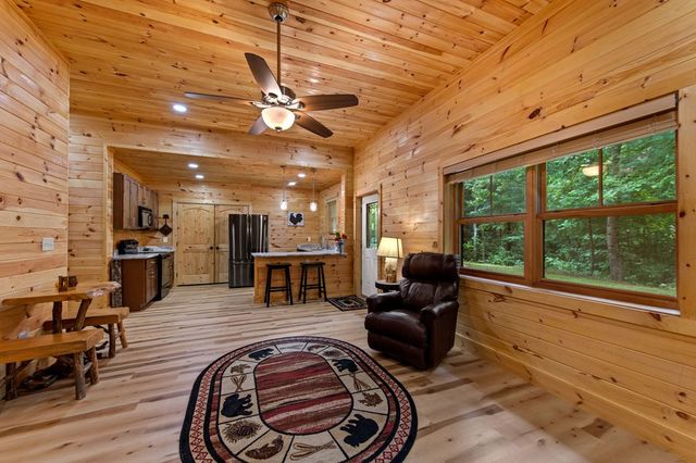 179 Cessna Loop, Blue Ridge, GA 30513