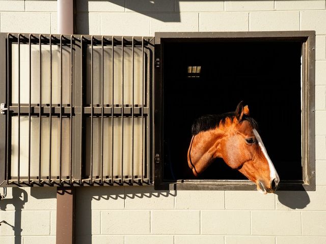 1100 Camwood Way, Franklin, TN 37064