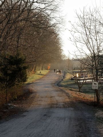 1100 Camwood Way, Franklin, TN 37064