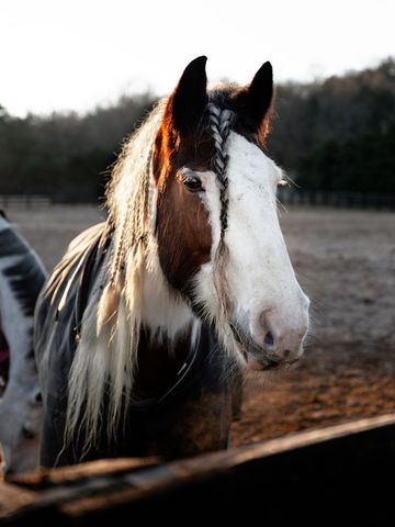 1100 Camwood Way, Franklin, TN 37064