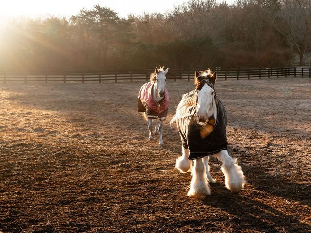 1100 Camwood Way, Franklin, TN 37064