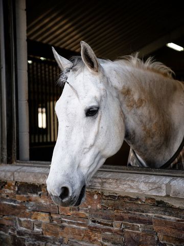 1100 Camwood Way, Franklin, TN 37064